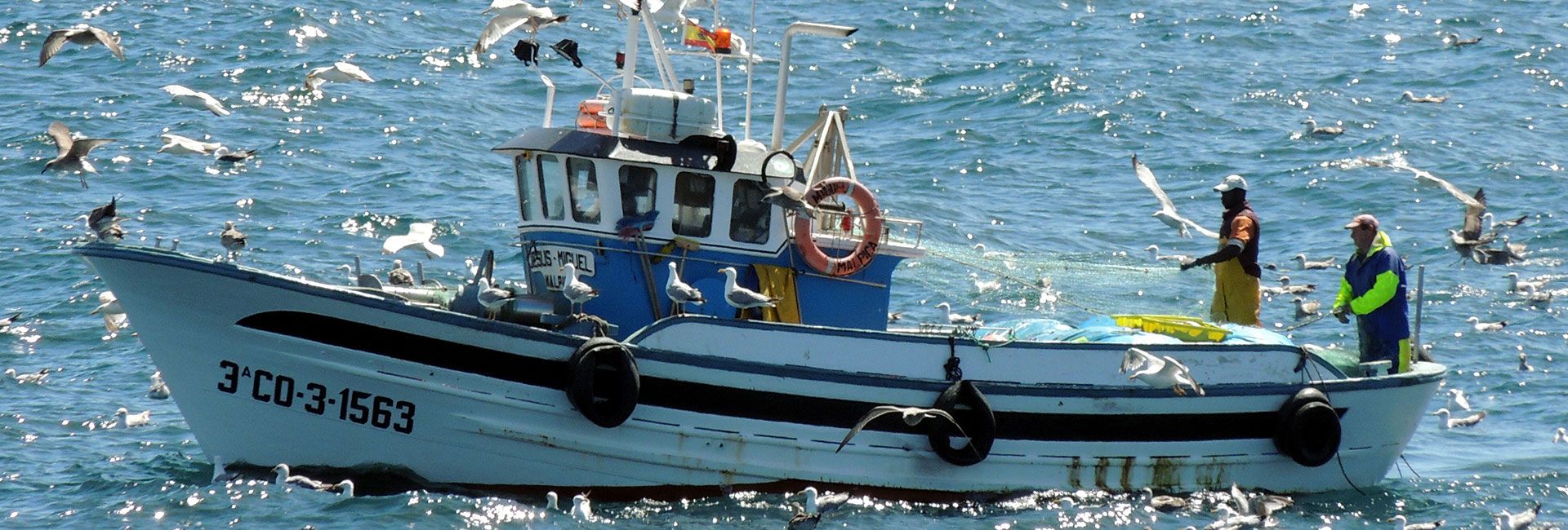 Barco faenando en la costa gallega
